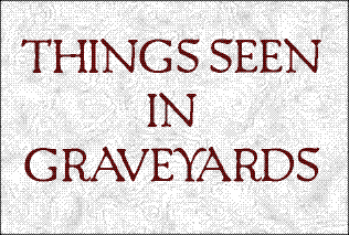 Things Seen in Graveyards