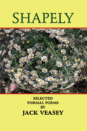 Shapely cover